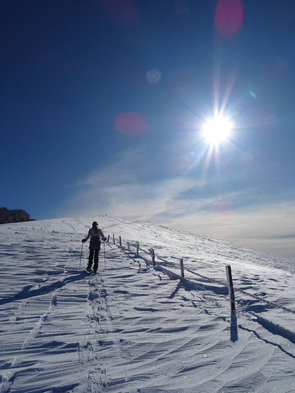 prime escursioni sulla neve....autunno  2019